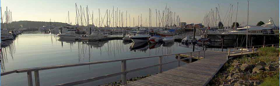 ancora Marina pic 1